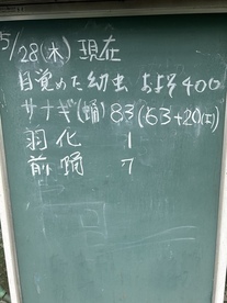 kokubann