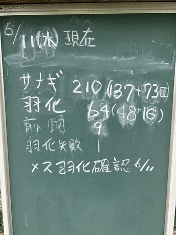 kokubann