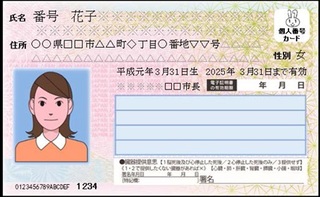 マイナンバーカード表の見本