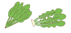 イラスト:野菜切れ端