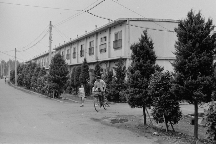 写真：2階建ての竹丘団地