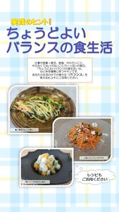 ちょうどよいバランスの食生活表紙画像