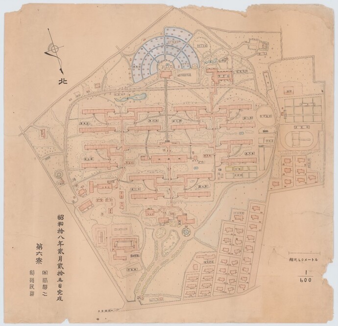 東京療養所配置図