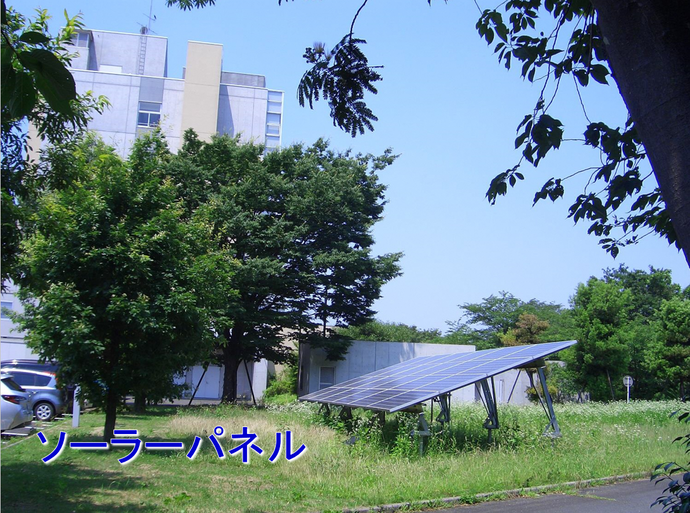 明治薬科大学内のソーラーパネルの写真です