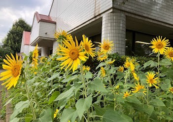 きよせボランティア・市民活動センター