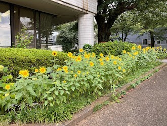 きよせボランティア・市民活動センター