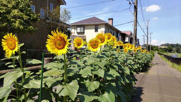 きよせボランティア・市民活動センター