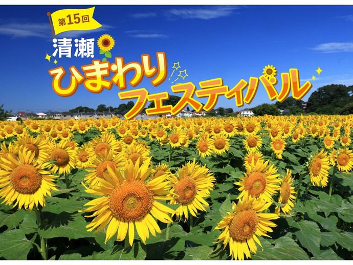 第15回清瀬ひまわりフェスティバル