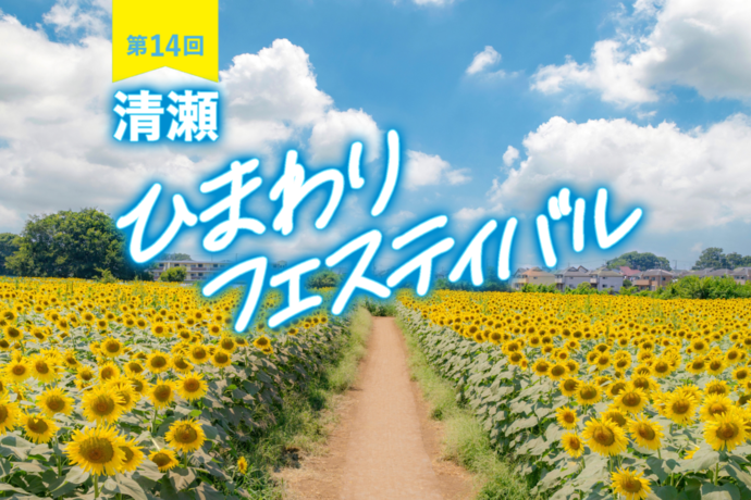 晴れ渡る青空と咲き誇る10万本のひまわりの写真（令和5年度清瀬ひまわりフェスティバル写真コンテスト市長賞作品）