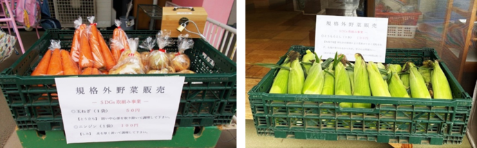 画像:これまでに販売した「アウトレット野菜」の一部