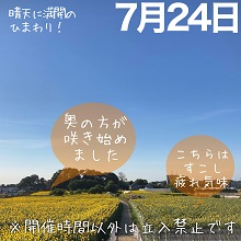 7月24日の会場遠景