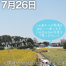 7月25日の会場遠景