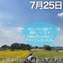 7月25日の会場遠景