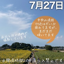 7月27日の会場遠景