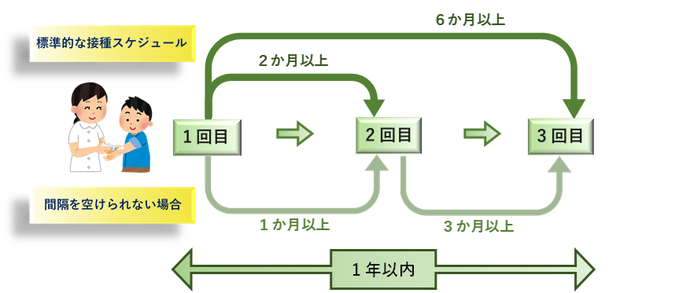 HPVワクチンの接種スケジュール