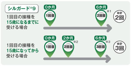 標準的なスケジュール（9価HPVワクチン）