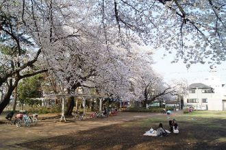 写真：中央公園1