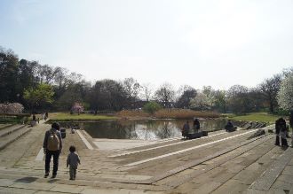 写真：清瀬金山緑地公園1