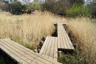 写真：清瀬金山緑地公園2