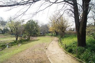 写真：清瀬金山緑地公園3