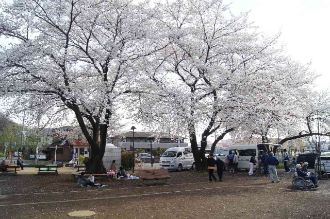 写真：神山公園3