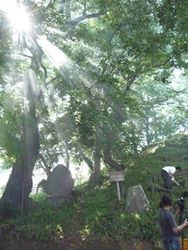 写真：中里富士山の山開き