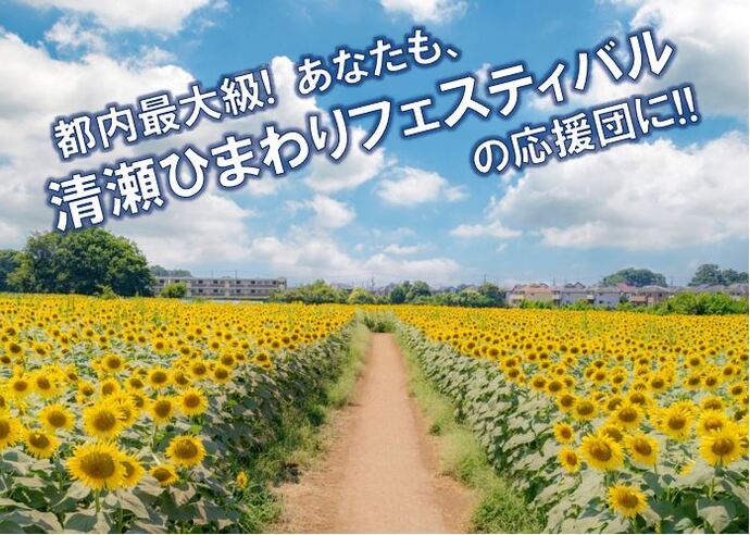 過去のひまわりフェスティバル