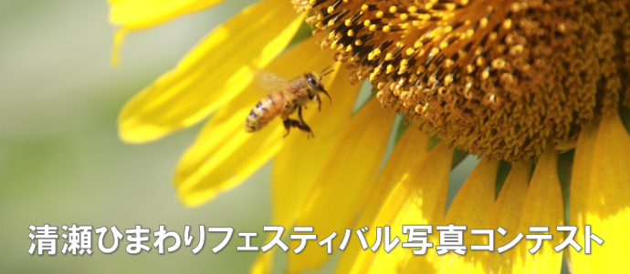清瀬ひまわりフェスティバル写真コンテスト