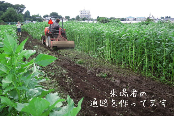通路の整備