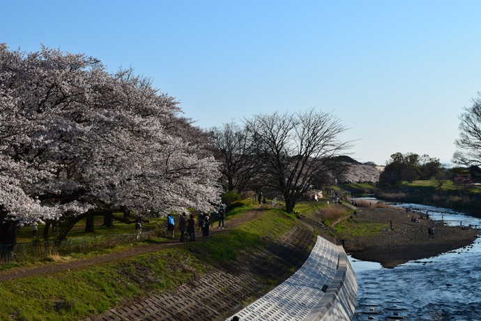 柳瀬川