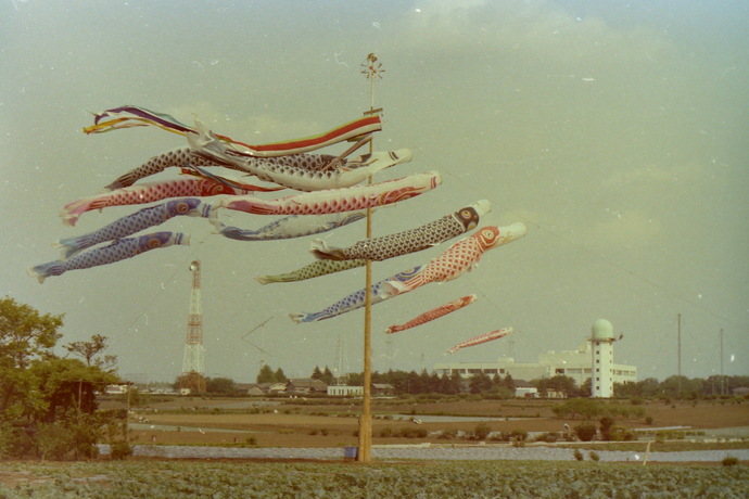 koi