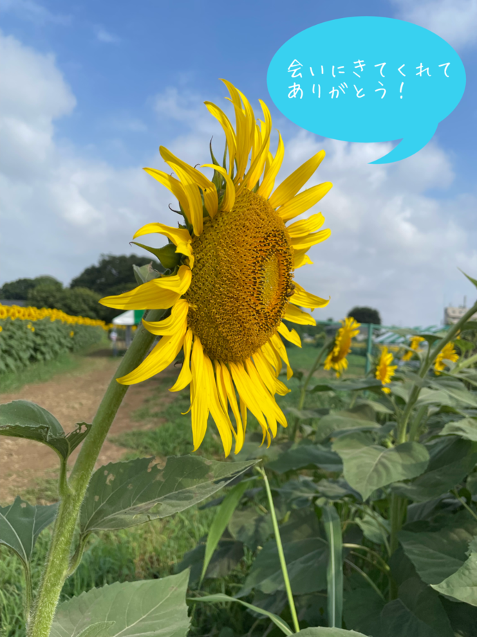ご来場ありがとうございました
