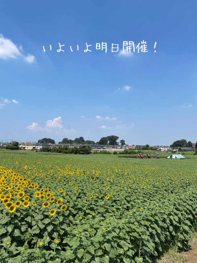 会場全体の様子
