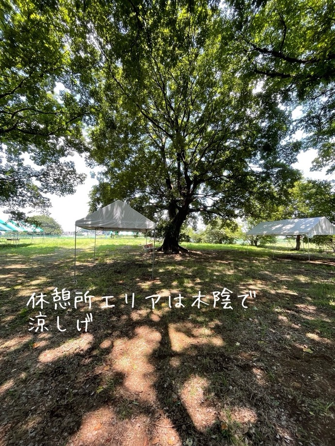 休憩所エリアのテント
