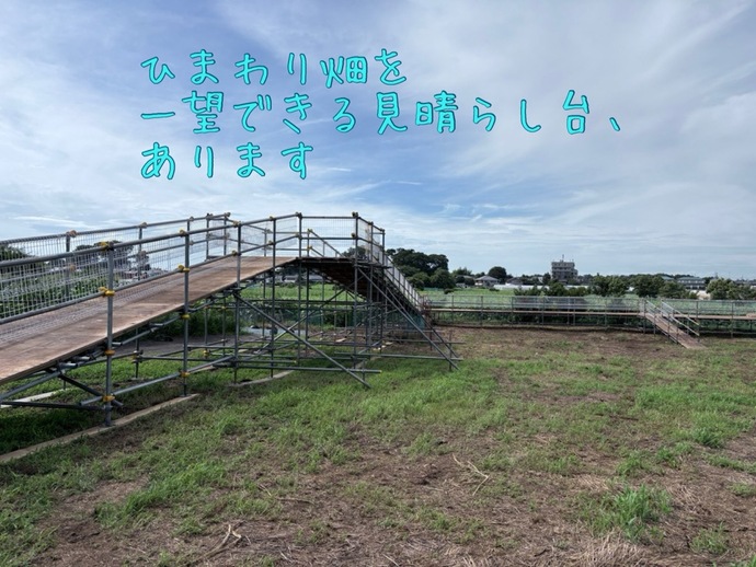 見晴らし台の設置