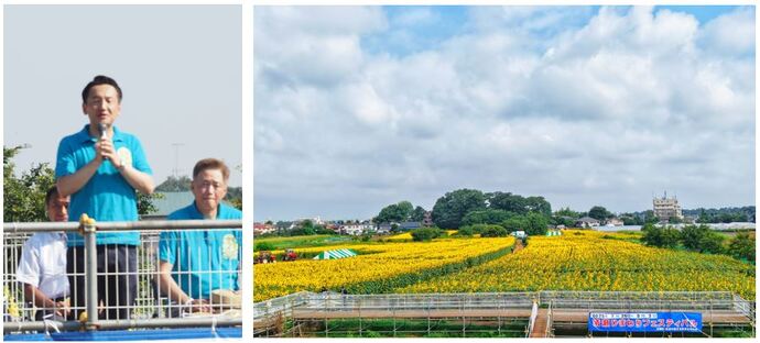 ひまわりフェスティバル