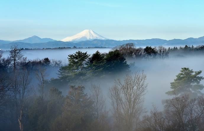 画像：「静寂な朝の始まり」　応募者　鈴木　啓太郎さん