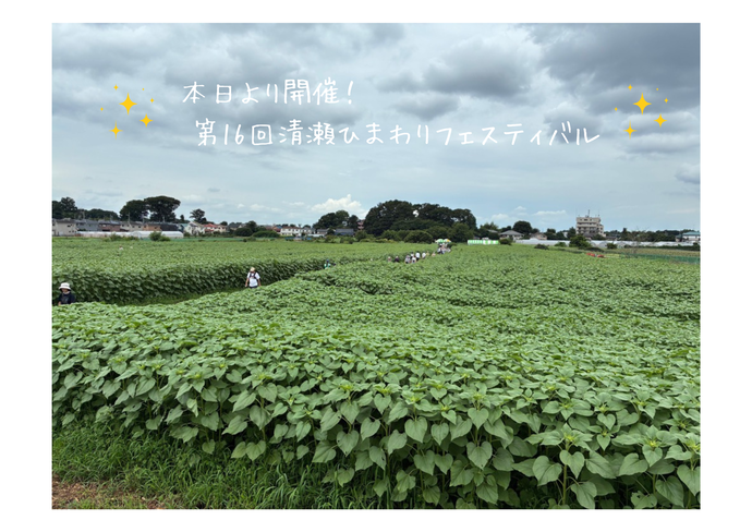 本日開催！