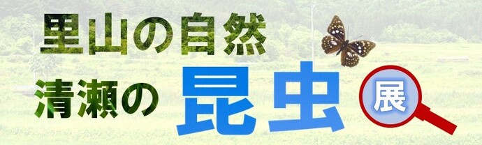 昆虫展のバナー